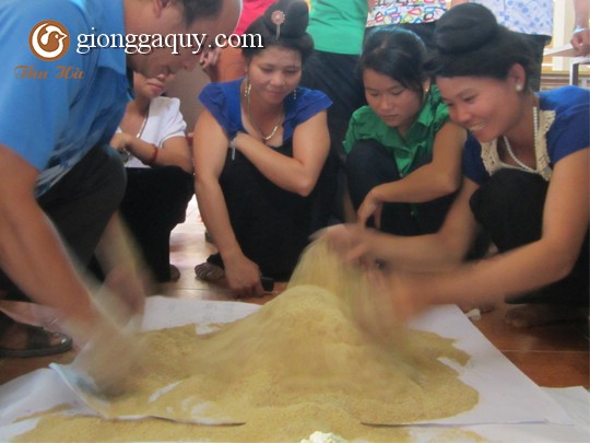 Công thức pha trộn thức ăn cho gà đạt hiệu quả cao.